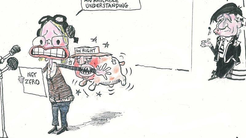 Confusion, disorientation and democracy at risk of withering