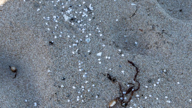 Thousands of nurdles washed up onto the shore at Shelly Beach, Warrnambool. 