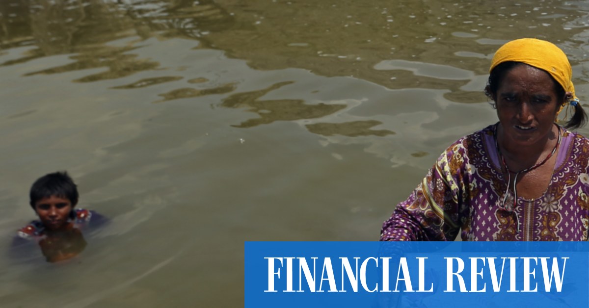 Reinsurance costs surge as Ukraine war, extreme weather bite - Vimarsana News