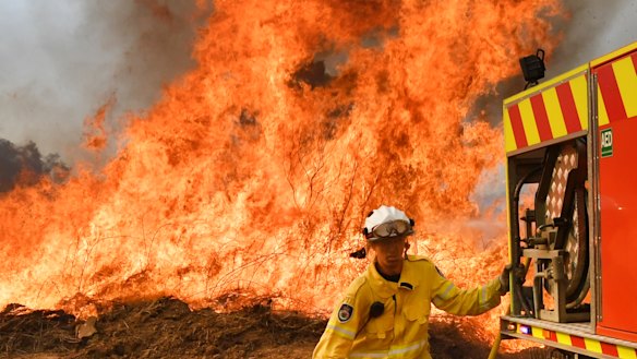 A number of homes have been destroyed by bushfires in northern New South Wales and Queensland.