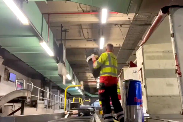 A still image from footage showing  baggage handlers slamming Qantas travellers’ bags onto a conveyor belt.