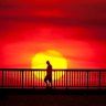 The IEA says Australia should consider a national energy plan to boost climate resilience.