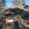 The fire that exposed a Melbourne recycling chief’s big dirty secret
