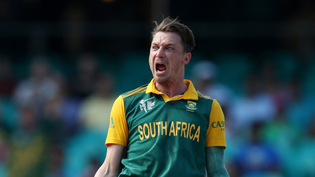 Dale Steyn has decided to call time on his Test career.