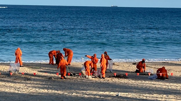 Squid games: Clean-up of mysterious black balls that washed up onto Coogee Beach in October 2024.