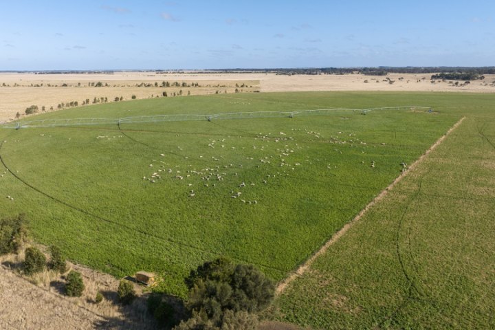 The Crower and Fellwood grazing aggregation includes over 200 hectares of irrigated area.