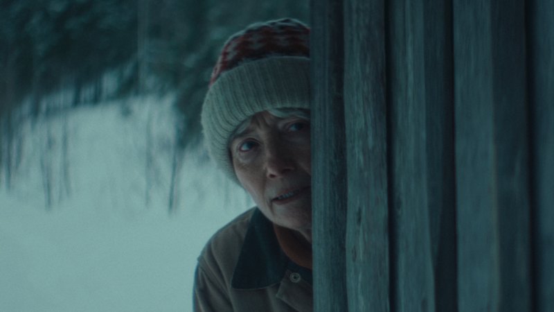 Emma Thompson v napetem trilerju "Dead of Winter" prepričljiva kot ogrožena junakinja