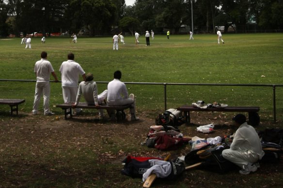 Cricket clubs are grappling with PlayHQ scoring system.