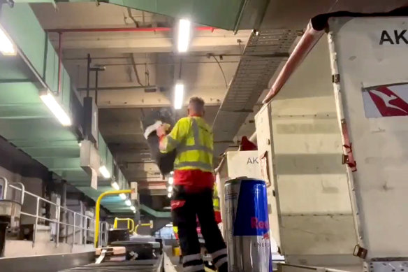 A still image from footage showing  baggage handlers slamming Qantas travellers’ bags onto a conveyor belt.