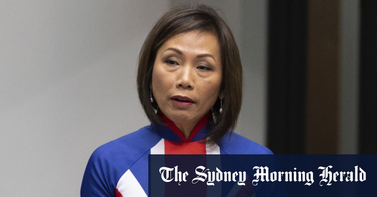 The dress that spoke louder than words – Sydney Morning Herald