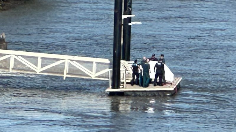 Dead man found in Brisbane River at West End
