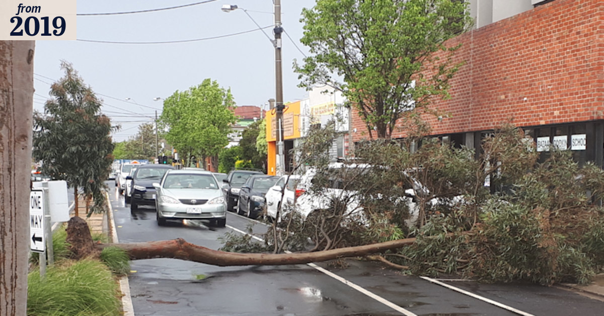 Hundreds of calls to emergency services as high winds hammer Victoria