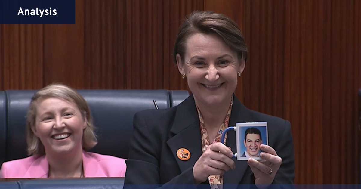 The best roasts of 2025 in WA’s new parliament