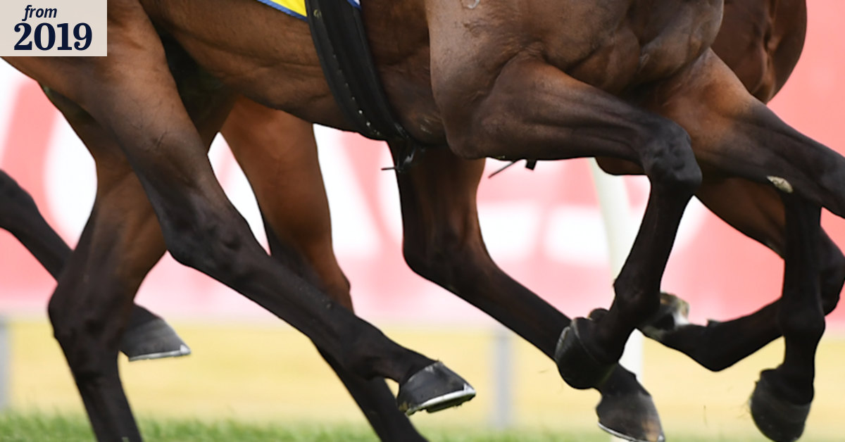 Race-by-race guide and tips for Grafton on Thursday