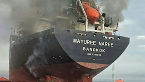 The Thai-flagged cargo vessel Mayuree Naree was hit in the Strait of Hormuz.