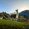Win a 21-day Inspiring South America tour, including flights*