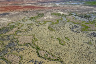 The Caryapundy Swamp is to be listed as an internatio<em></em>nally im<em></em>portant wetland under the global 1971 Ramsar Convention.