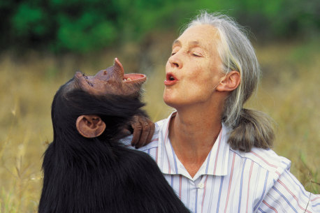 G Adventures’ Jane Goodall Collection just added five additional itineraries.