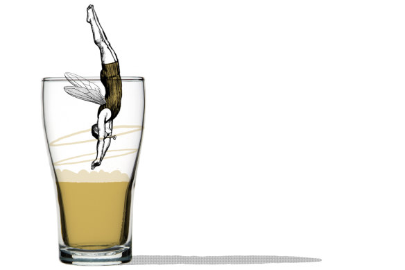 Flies don’t last long once they make the mistake of falling into a beer. Illustration: Simon Letch