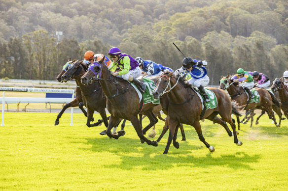 Racing heads to Gunnedah on Tuesday.