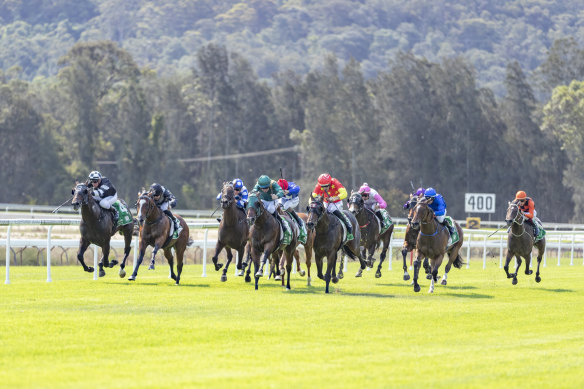 Racing returns to Gosford on Wednesday.