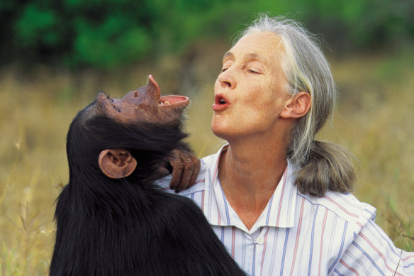 G Adventures have added nine new itineraries to its Jane Goodall Collection.