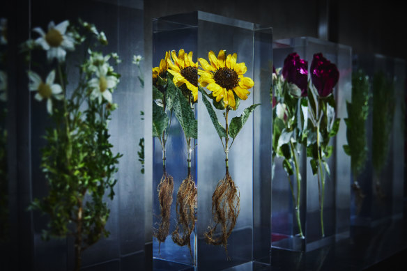 Makoto Azusa’s Block Flowers seal flowers at the peak of their life cycle in blocks of clear resin.