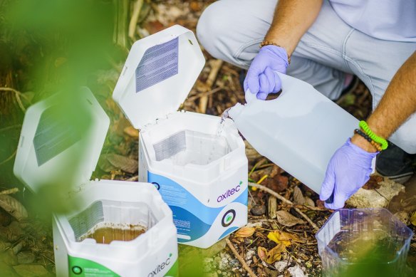 An Oxitec release box of genetically modified Aedes aegypti in Brazil.