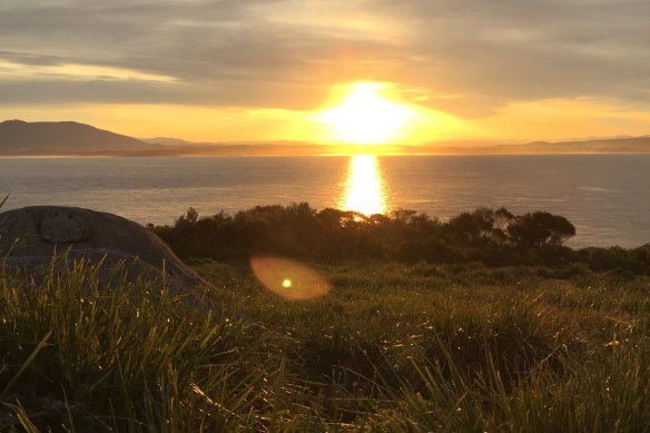 Montague Island on the South Coast.