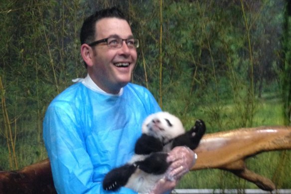 Daniel Andrews visiting pandas during his 2015 China trip.