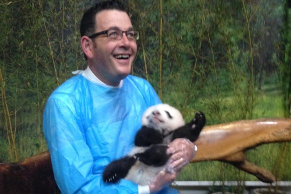 Daniel Andrews visiting pandas during his 2015 China trip.