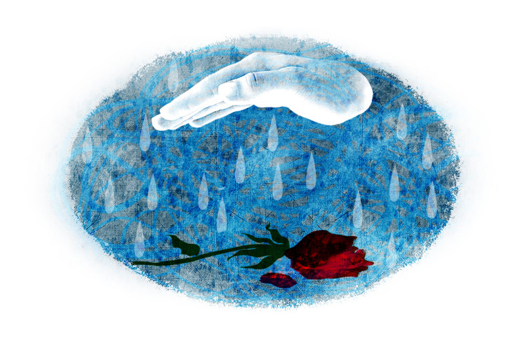 dying explained what happens as we die