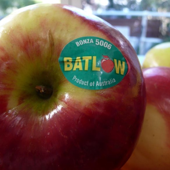 Plenty of tourist opportunity in the town of Batlow, famous for its apples.