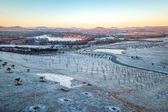 Erna Glassford snapped this photo of the National Arboretum when the temperature dropped to minus 6 during the week.