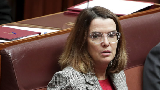 Social Services Minister Anne Ruston. 

