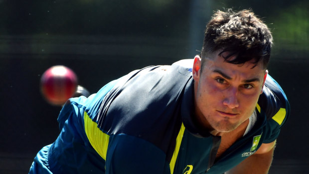 Injured Marcus Stoinis will be replaced by Mitch Marsh.