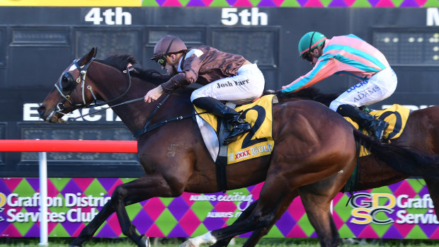In the purple: Racing returns to the Jacaranda City today with a nine-race card.