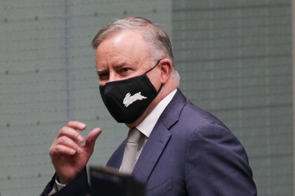 Opposition Leader Anthony Albanese. has accused the government of trying to 'emasculate' the Australian Renewable Energy Agency.