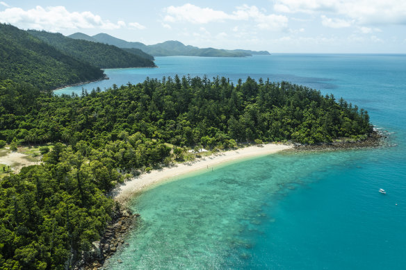 The site at Hook Island, which Glenn Piper plans to develop into a low-impact resort