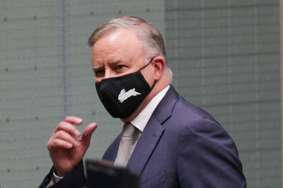Anthony Albanese wearing his South Sydney Rabbitohs mask when he was opposition leader in 2020.
