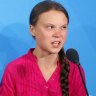 Apology after Fox guest says Thunberg ‘mentally ill’