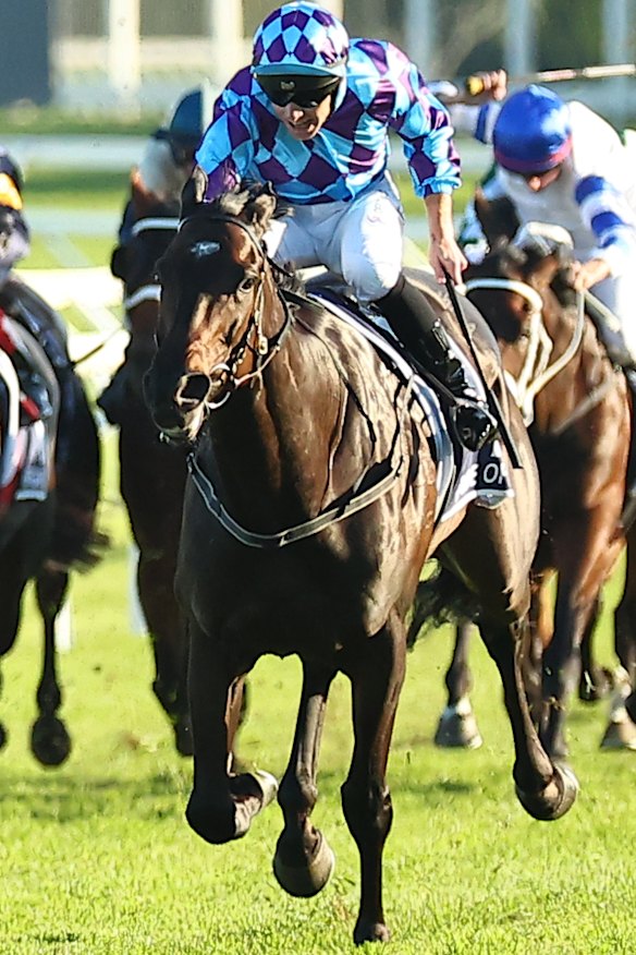 Pride Of Jenni wins the Queen Elizabeth Stakes in the autumn.