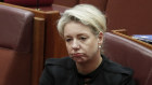 Senator Bridget McKenzie in the Senate on Wednesday.