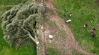 In this aerial view the ‘Sycamore Gap’ tree on Hadrian’s Wall lies on the ground leaving behind only a stump in the spot it once proudly stood. 