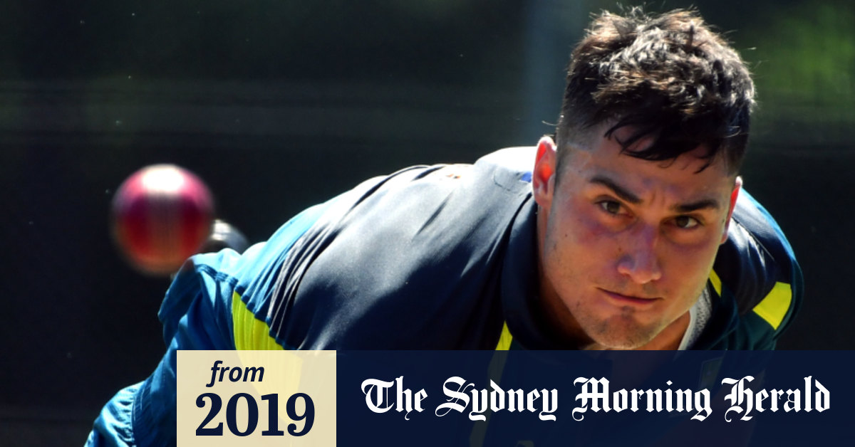 Mitch Marsh joins World Cup as cover for injured Stoinis