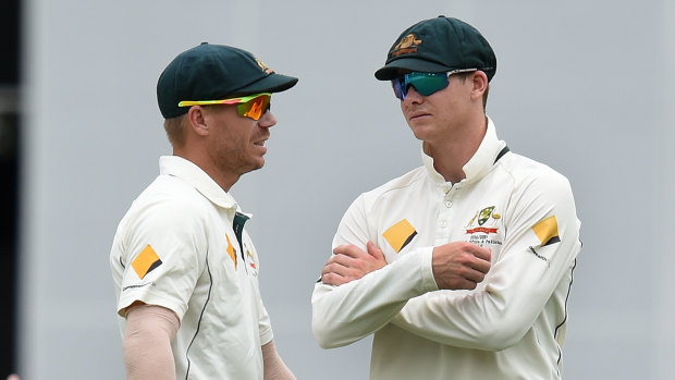 Road back: David Warner and Steve Smith will appear in the Canadian T20 competition.