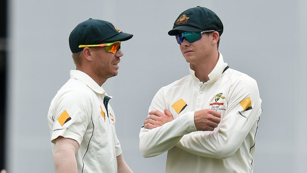 Road back: David Warner and Steve Smith are down to play in the Canadian T20 competition.