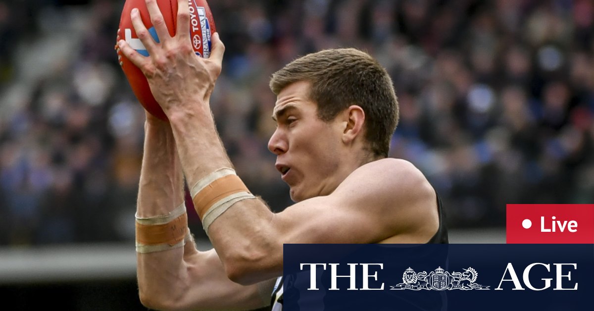 Afl Round Seven Live Geelong V Collingwood