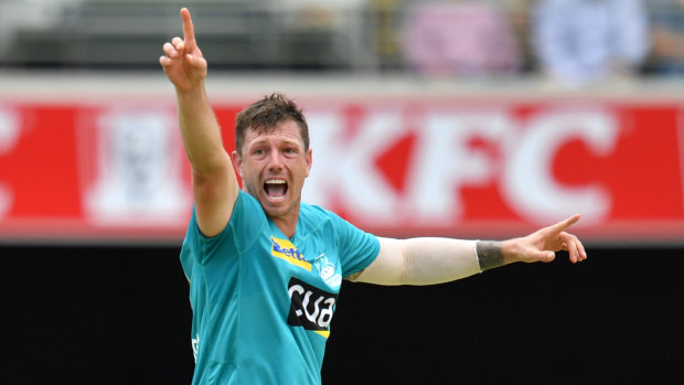 James Pattinson of the Heat celebrates the wicket of Harry Nielsen of the Strikers.