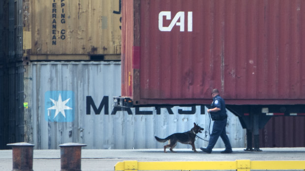 An officer with a dog inspects the container along the Delaware River in Philadelphia.